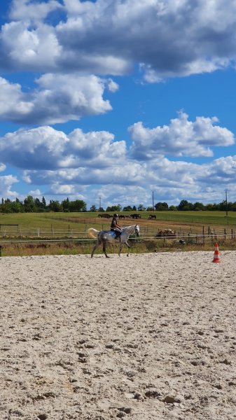 Ecurie Guillaume Mayer - photo 3