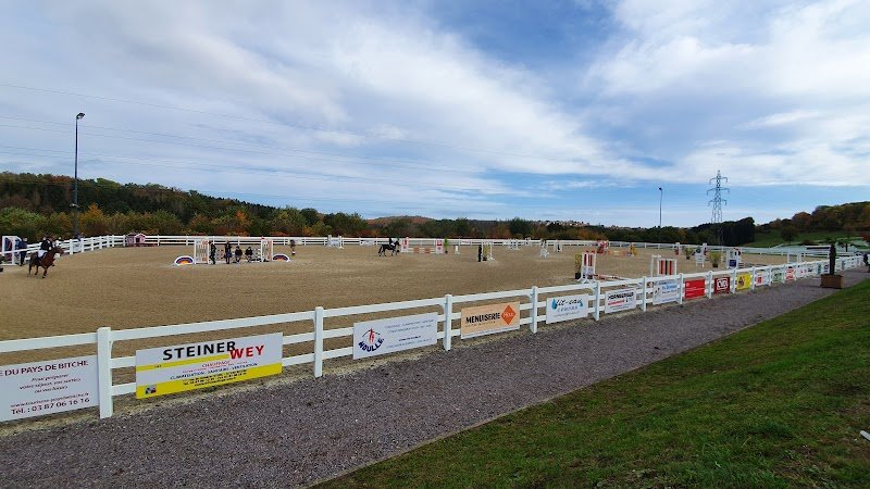 Écurie Les Laurentides - photo 1