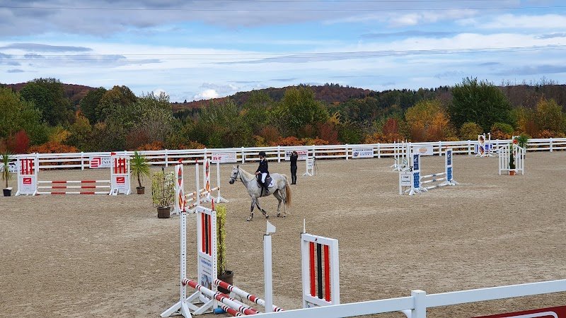 Écurie Les Laurentides - photo 2