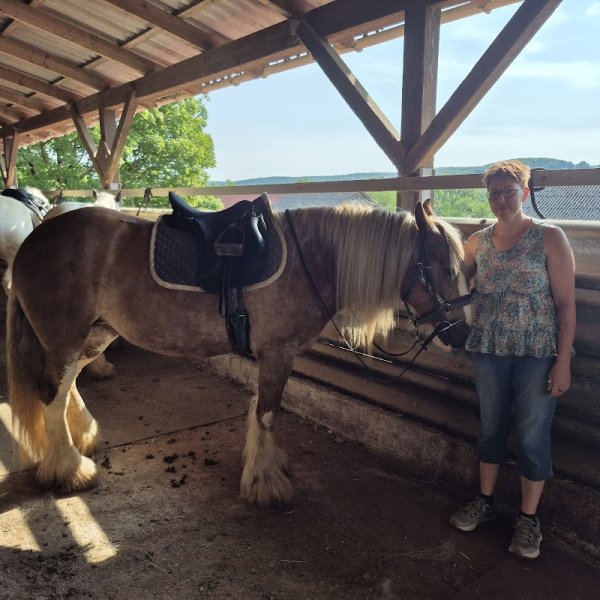 Les Écuries du Flecken - photo 1