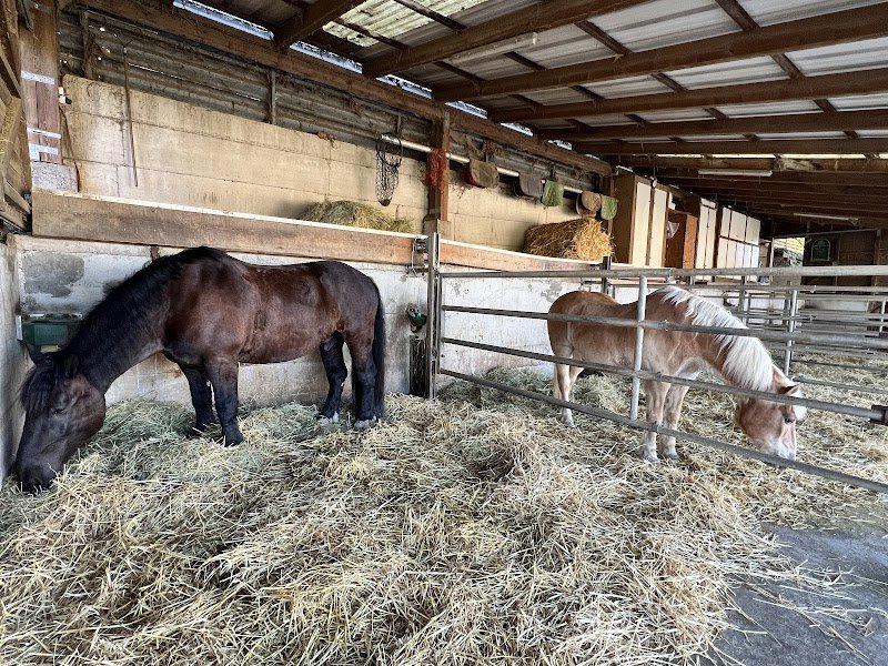 Les Écuries du Flecken - photo 2