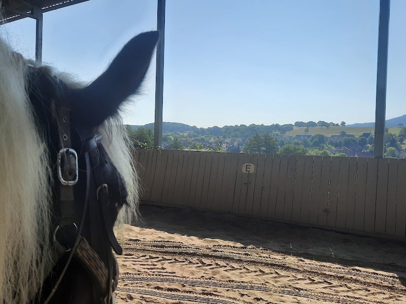 Les Écuries du Flecken - photo 3