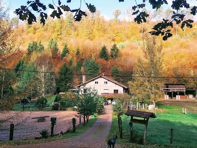 gîte equestre de la vallée à l'échappée verte - photo 1