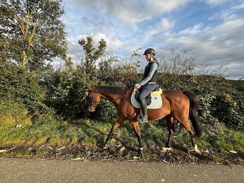 Ecurie Du Winkelbach - photo 3