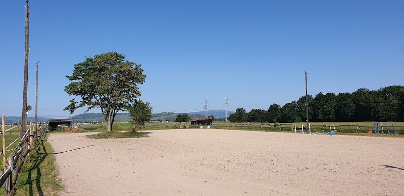 ECURIE SPECHT - M Charles SPECHT - photo 2