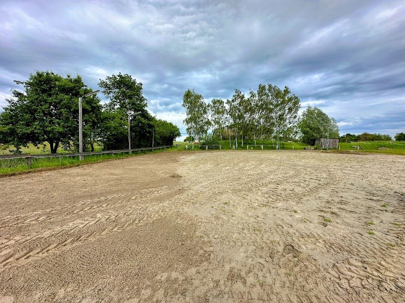 Accords Équestres - photo 3