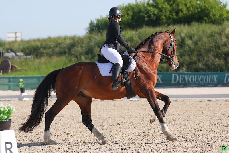 Centre équestre Dream Ranch - photo 2