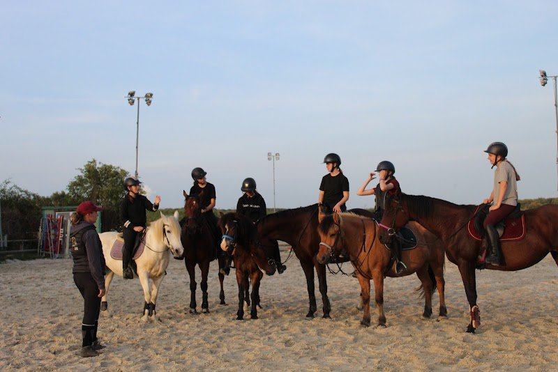 Centre équestre Dream Ranch - photo 3