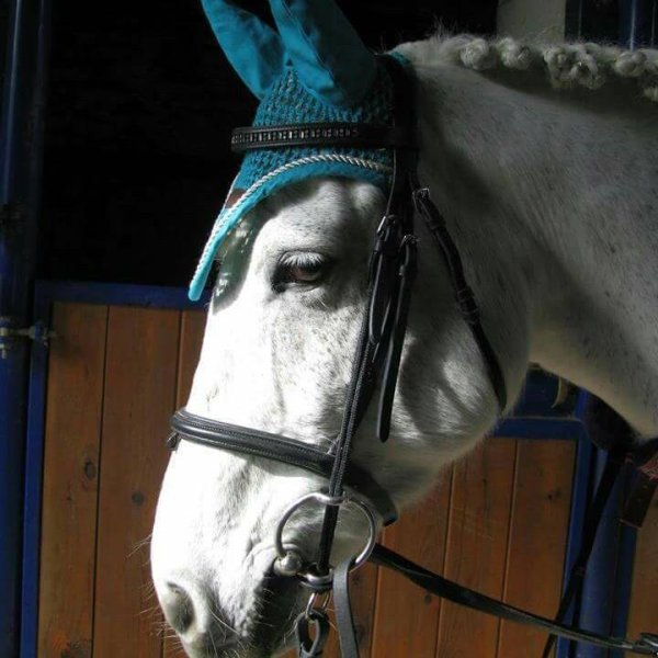 Poney Club Domaine de Romazières