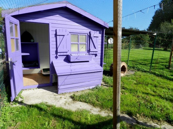 Pension Feline De Lorraine - photo 1