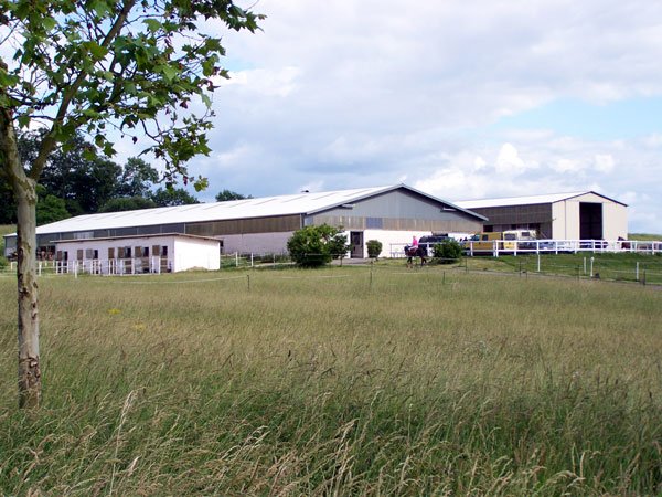 Handsome Ranch - Quarter Horses - Breeding Stable - - photo 1