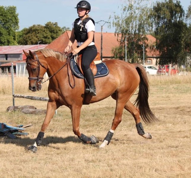 Association Equestre de Dieuze - photo 1