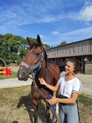 Association Equestre de Dieuze - photo 3