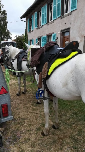 Relais équestre de la Ferme de la Seille - photo 1