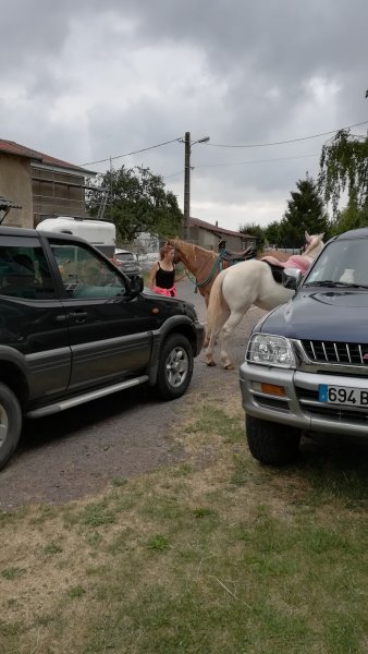 Relais équestre de la Ferme de la Seille - photo 3