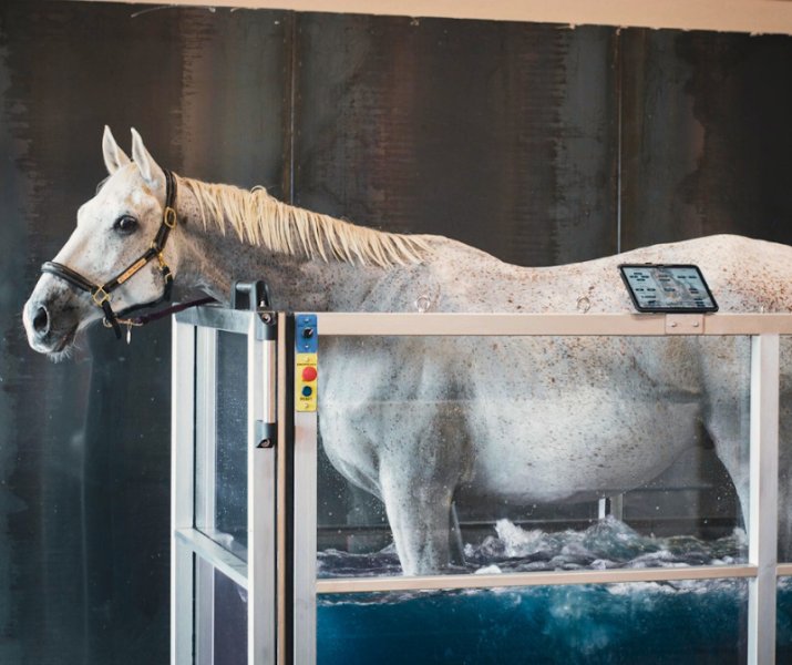 Cheval Habitat - photo 3