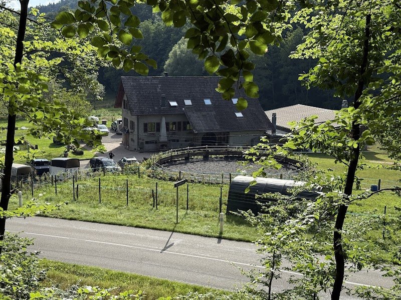 Domaine équestre du Trèfle d'Or, Gîte et Chambres d’hôtes