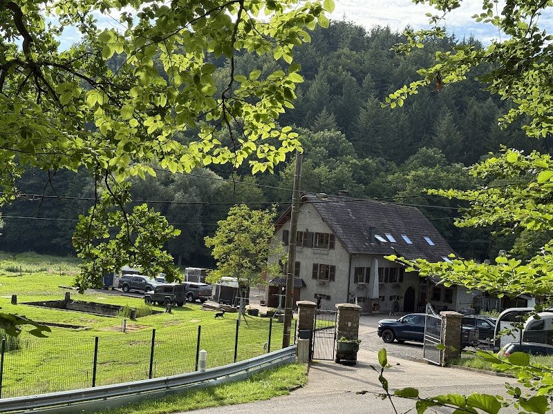 Domaine équestre du Trèfle d'Or, Gîte et Chambres d’hôtes - photo 3