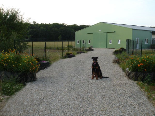 Ferme - Pension Le 1000 Pattes