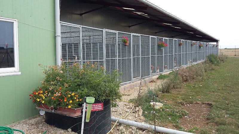 Ferme - Pension Le 1000 Pattes - photo 2