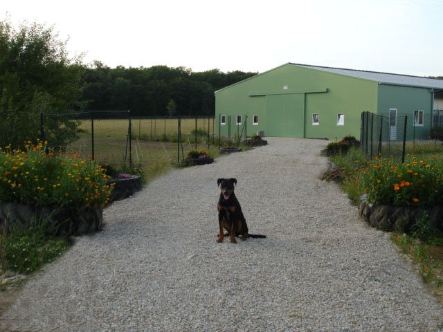 Ferme - Pension Le 1000 Pattes - photo 3