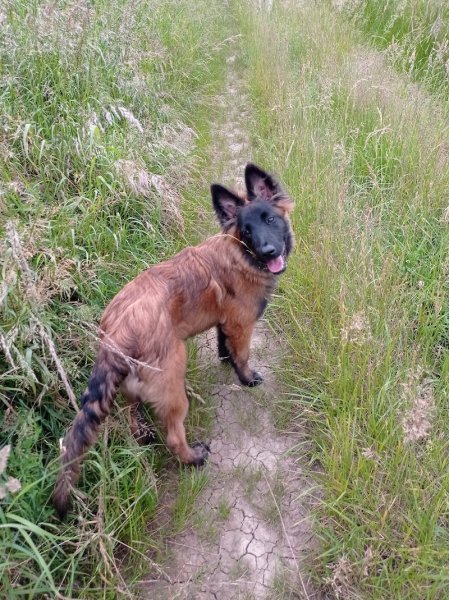 Pension de la côte de Delme - photo 1