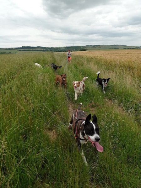 Pension de la côte de Delme - photo 2