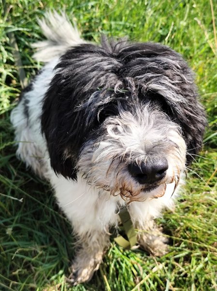 Pension de la côte de Delme - photo 3