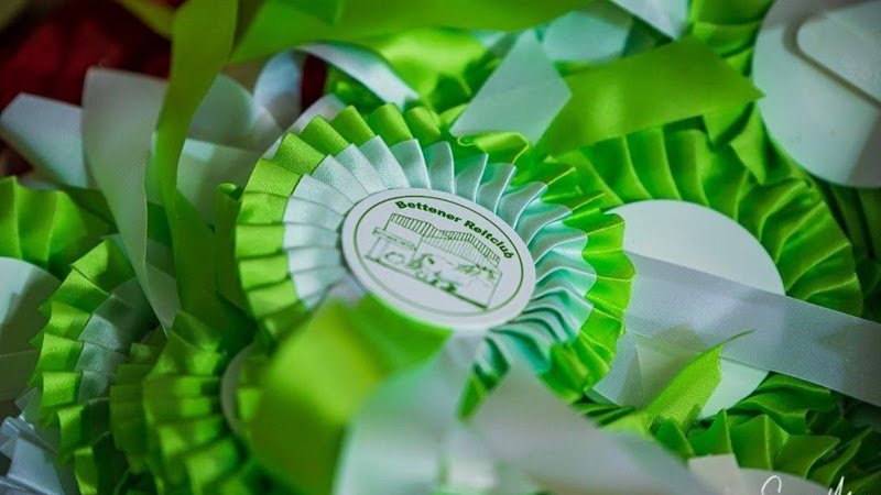 Braun-Manège d'Equitation - photo 1