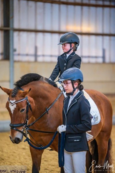 Braun-Manège d'Equitation - photo 3