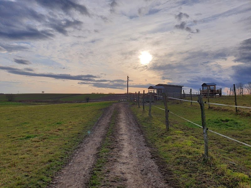 Pension de la Niedermatt - photo 3