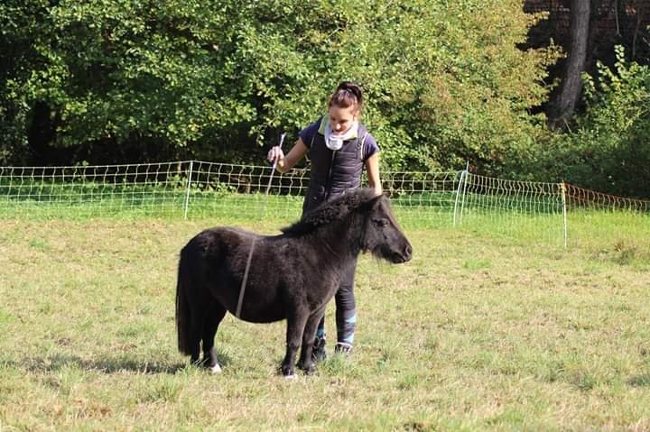 Elevage et ecurie de Lormesia - photo 3