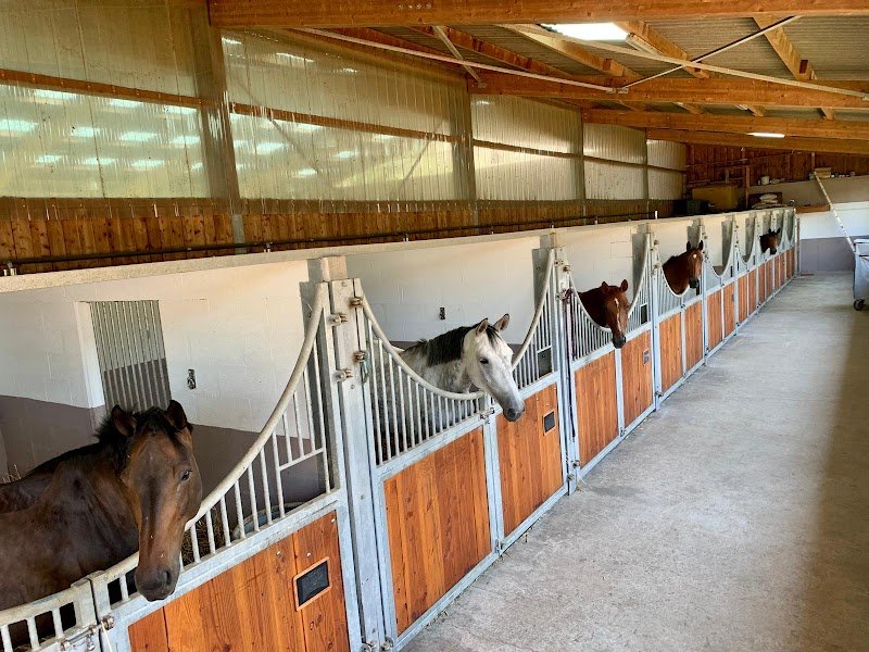 Ecurie du Loti - photo 1