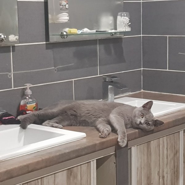 Pension au Paradis de Lemyana - photo 1