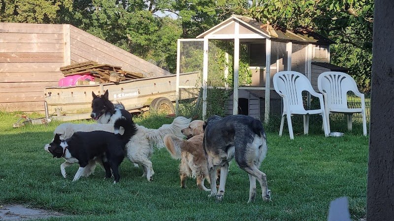 Pension au Paradis de Lemyana - photo 2