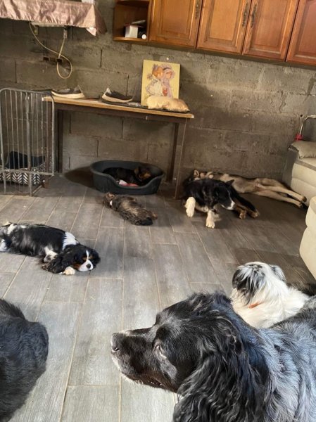 Pension au Paradis de Lemyana - photo 3