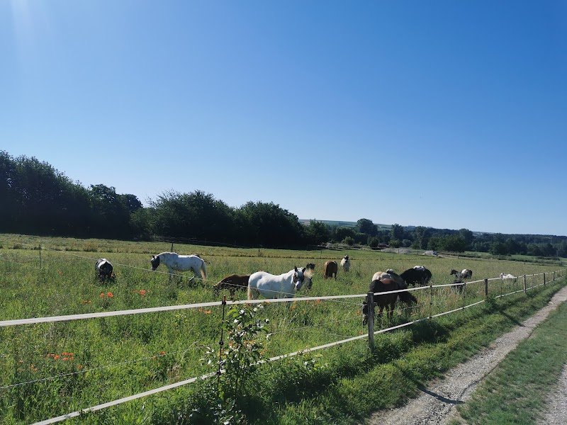 Ecurie des Wandel - photo 3