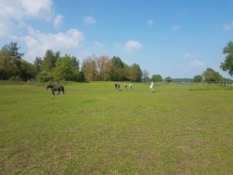 Écurie COUSANDIER - photo 1