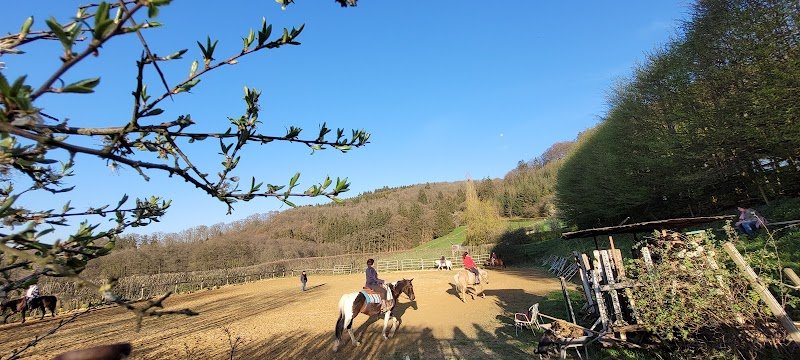 Centre équestre Martelinville - photo 2