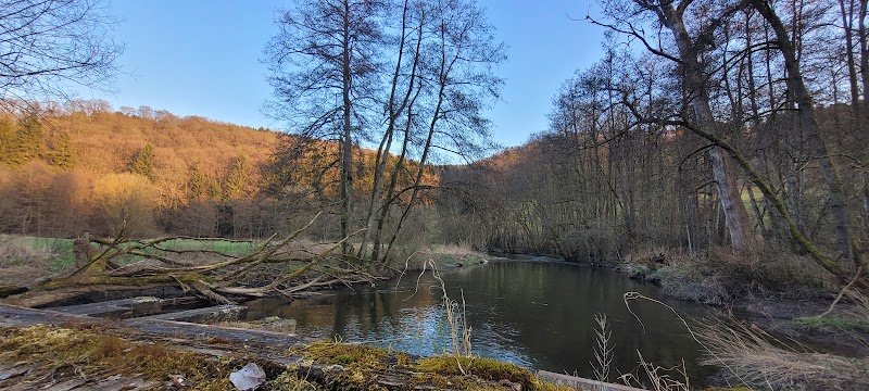 Centre équestre Martelinville - photo 3