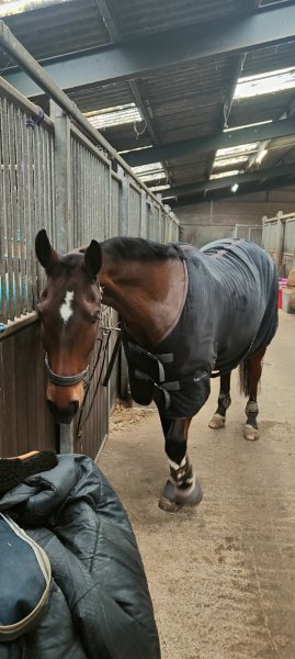 Manège Molitor - photo 3