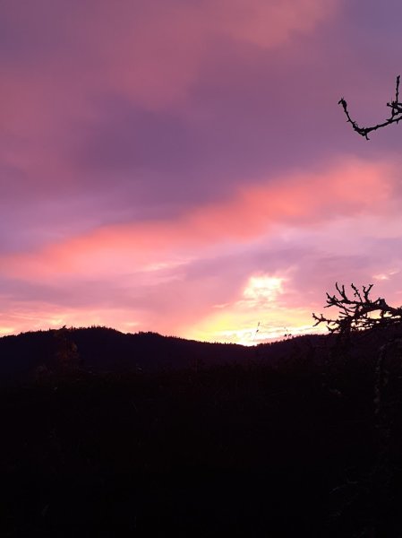 Les Écuries de la Forêt