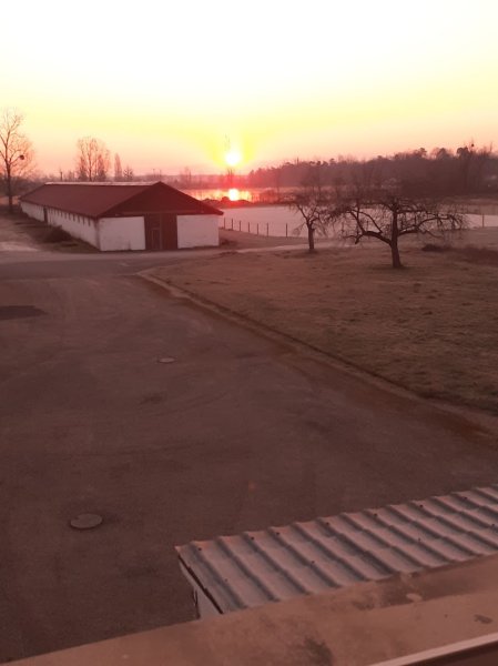 Les Écuries de la Forêt - photo 2