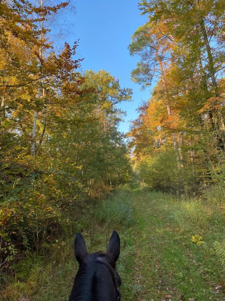 SCEA Ecurie Du Chalet