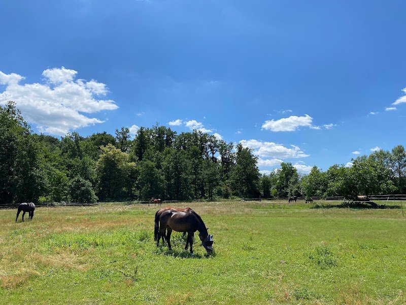 SCEA Ecurie Du Chalet - photo 2