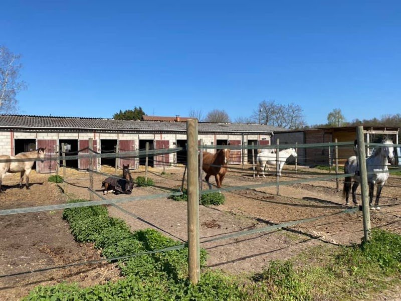 SCEA Ecurie Du Chalet - photo 3