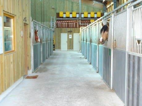 Elevage de la ferme du Patural - Universal Horse Riding - photo 2