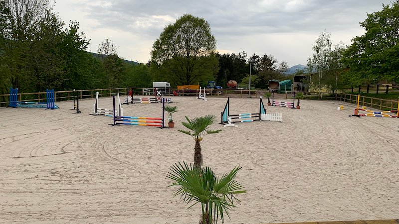Relais Equestre de la Schlitte - photo 2
