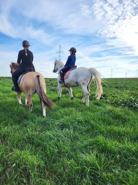 Haras de Tilau - photo 2