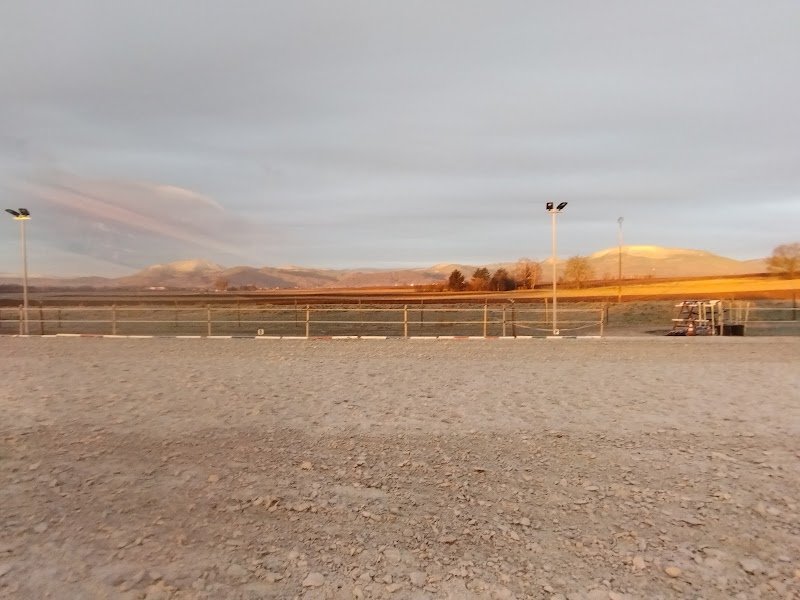 Écurie Biechel - photo 3